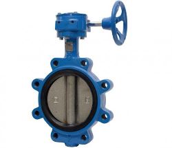 Van bướm vô lăng